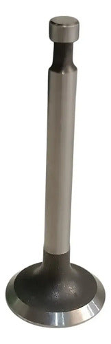 Válvula De Admissão Motor Gx120 B2m15 Honda 14711-zf0-010